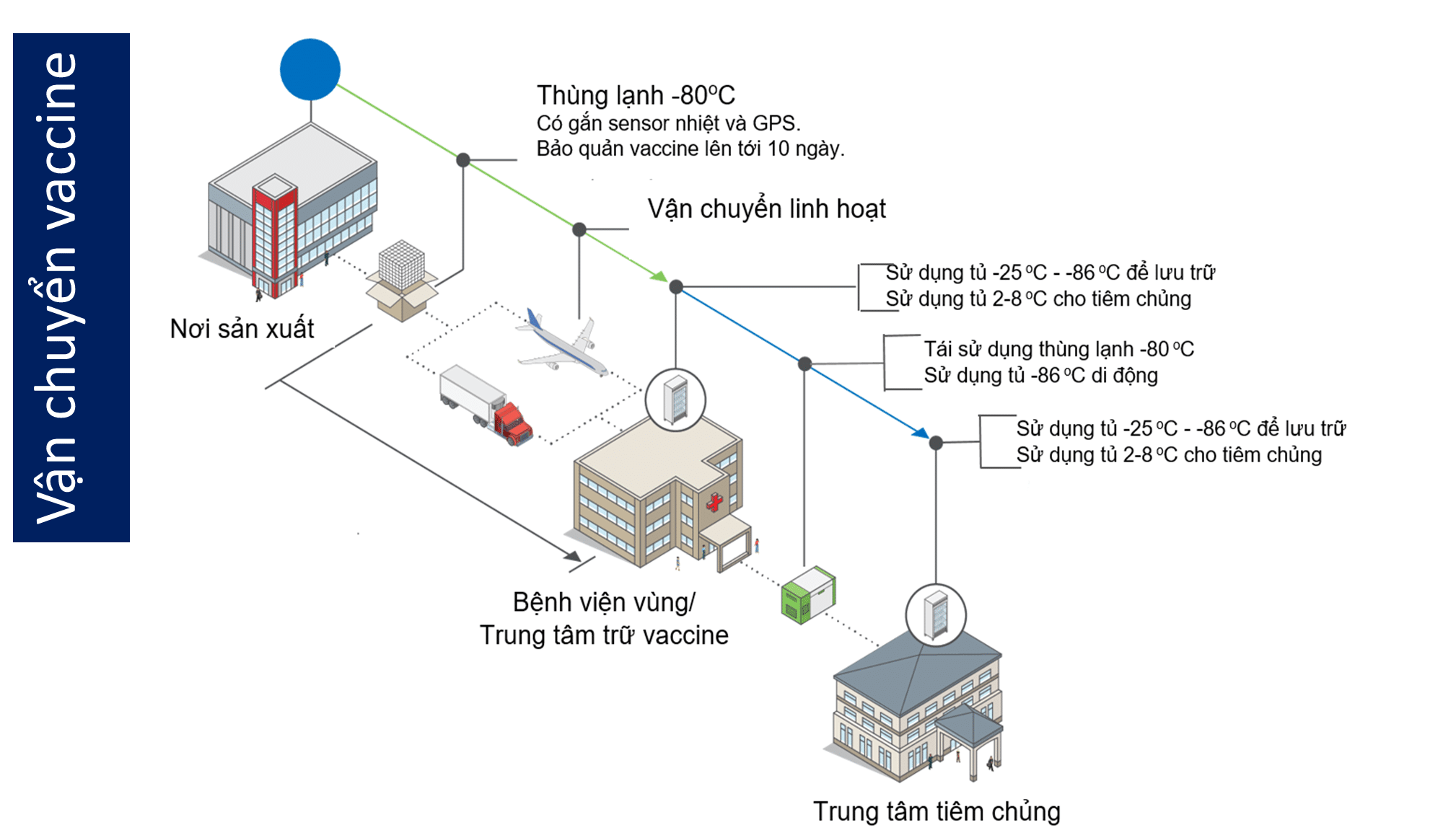 quy trình vận chuyển vaccine