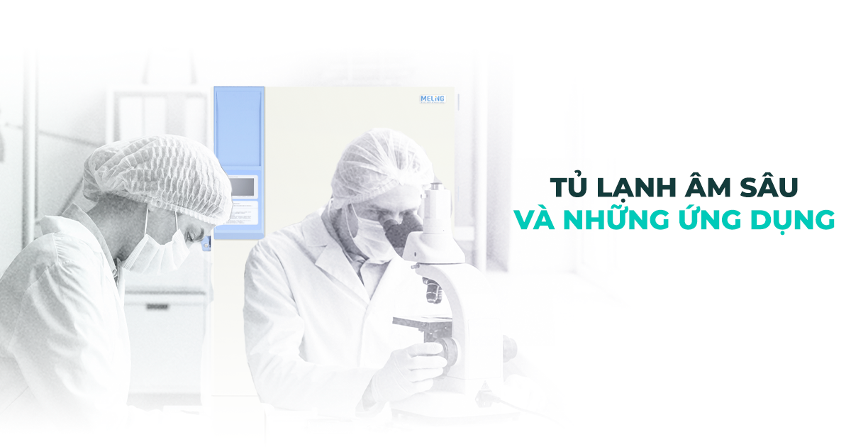 TỦ ĐÔNG ÂM SÂU