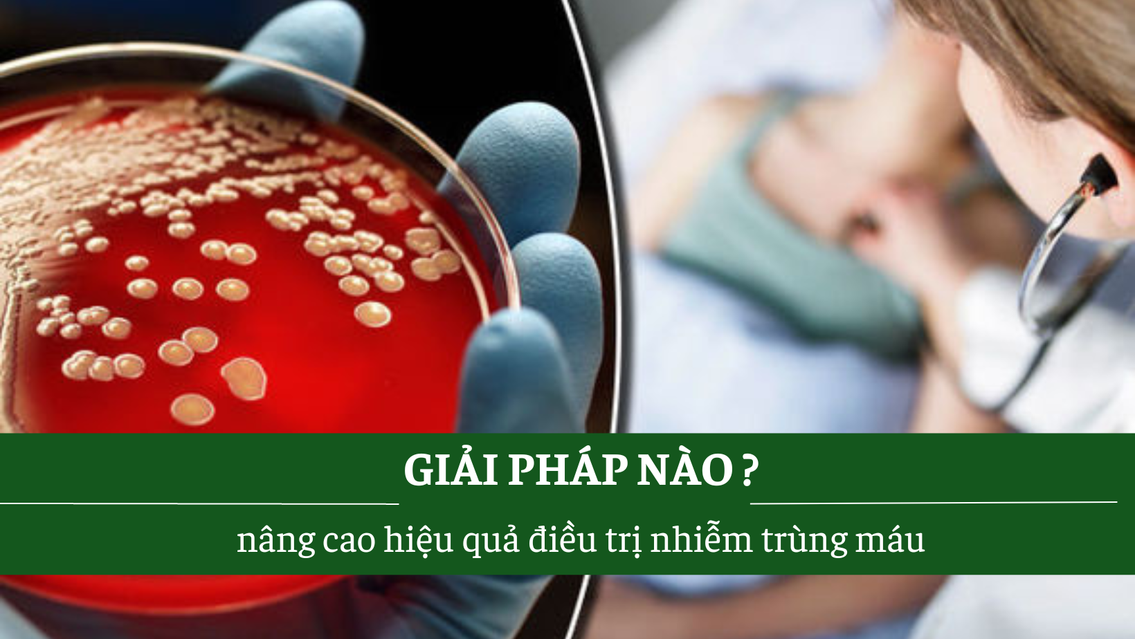 Giải pháp nào nâng cao hiệu quả điều trị nhiễm trùng máu?
